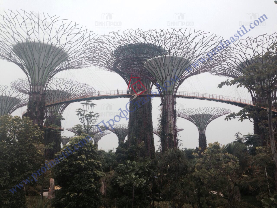 Представители компании «ВинПроф» посетили Сингапур